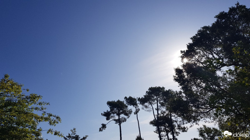 Észlelési fényképek