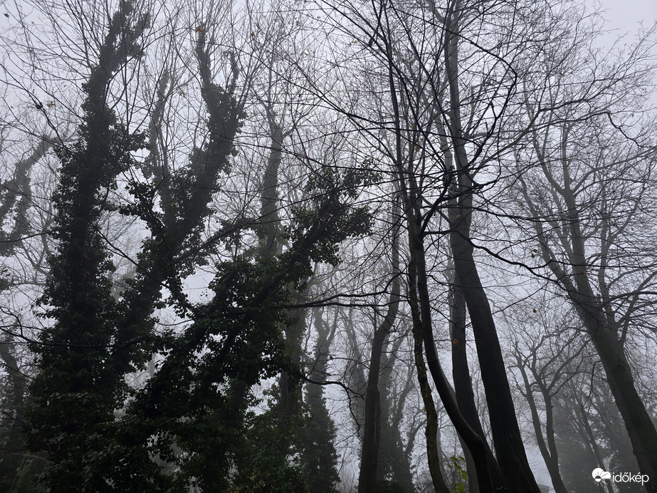 Budapest XII.ker - Széchenyi-hegy