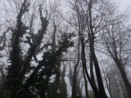 Budapest XII.ker - Széchenyi-hegy