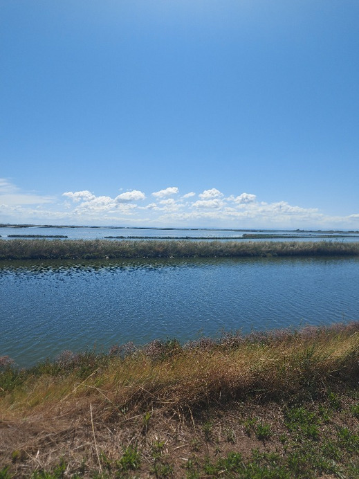 Comacchio