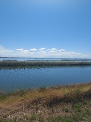 Comacchio