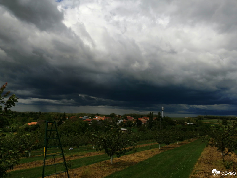 Észlelési fényképek