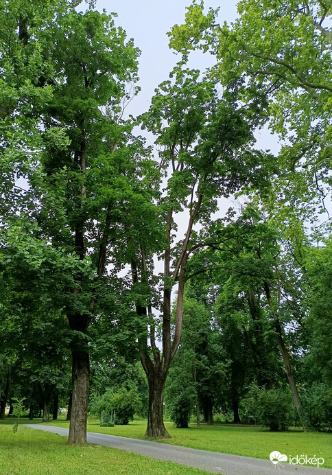 Nagykanizsa
