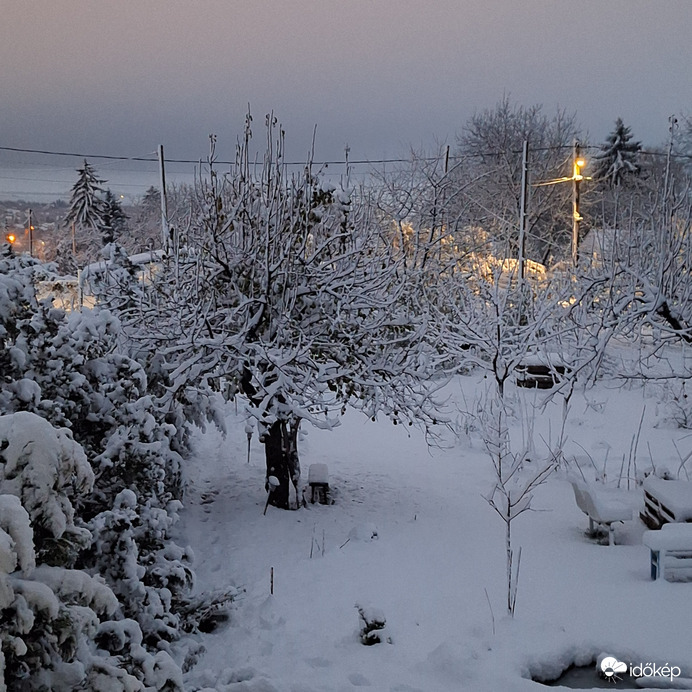 Észlelési fényképek