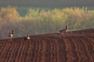 Reggeli Mátra-lába