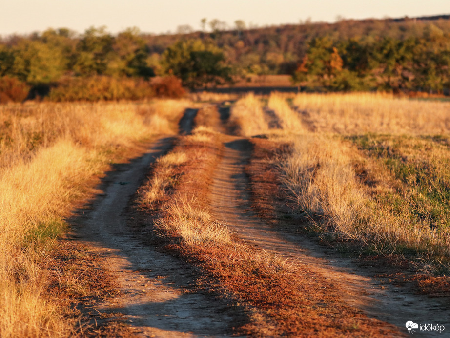 Vasárnapi koránkelés