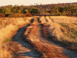 Vasárnapi koránkelés