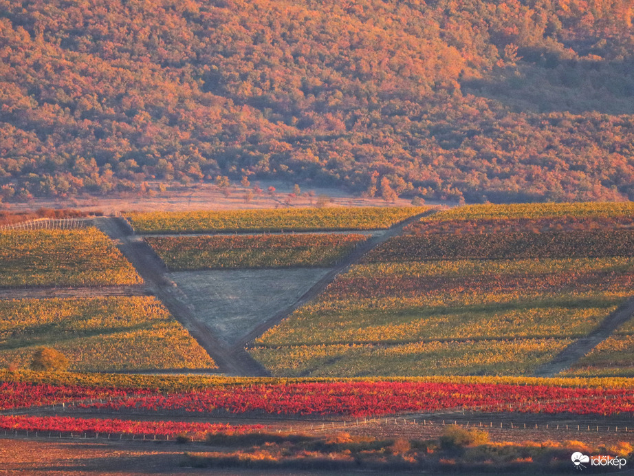 Vasárnapi koránkelés