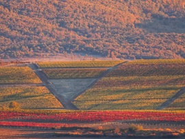 Vasárnapi koránkelés