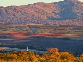 Vasárnapi koránkelés