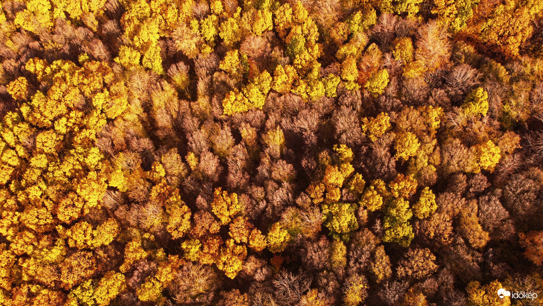 Kékestető kiszínesedett