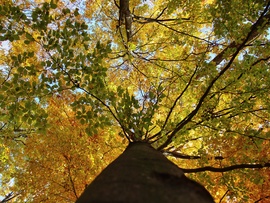 2025 ősz, Kékestetőn