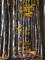 2025 ősz, Kékestetőn