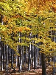 2025 ősz, Kékestetőn