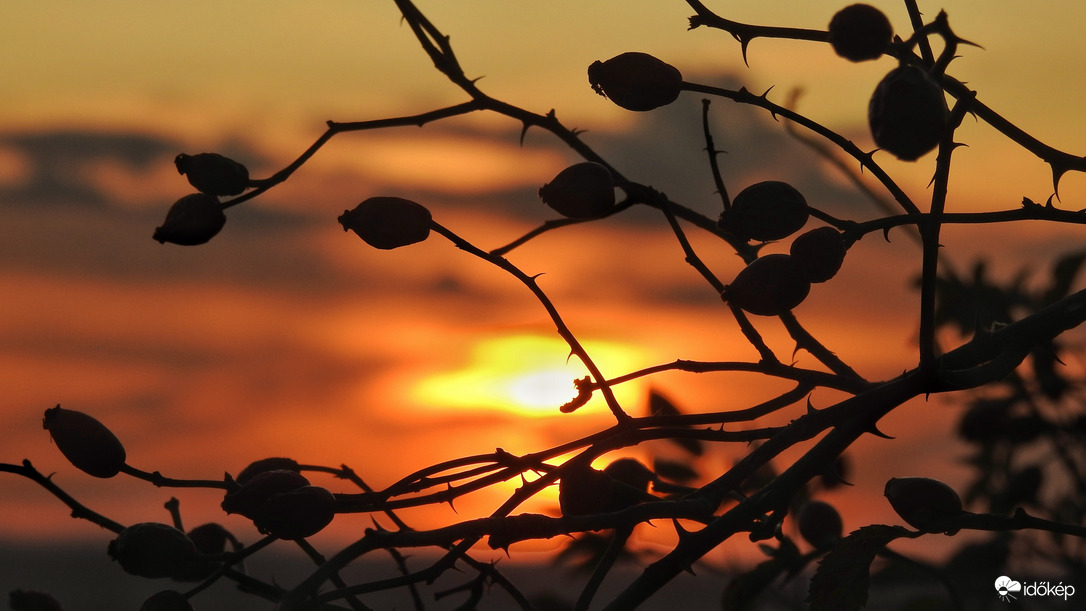 Egy szép nap zárása