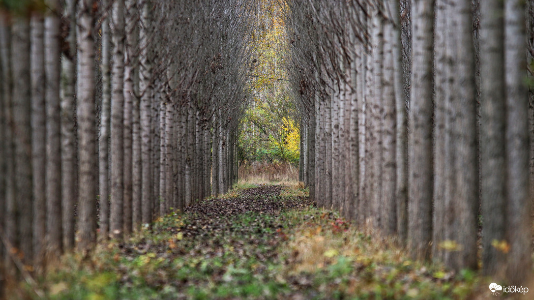 Álljatok be szépen sorba
