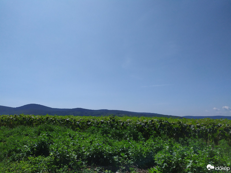 Észlelési fényképek