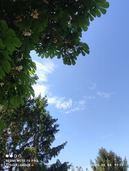 Madocsa
