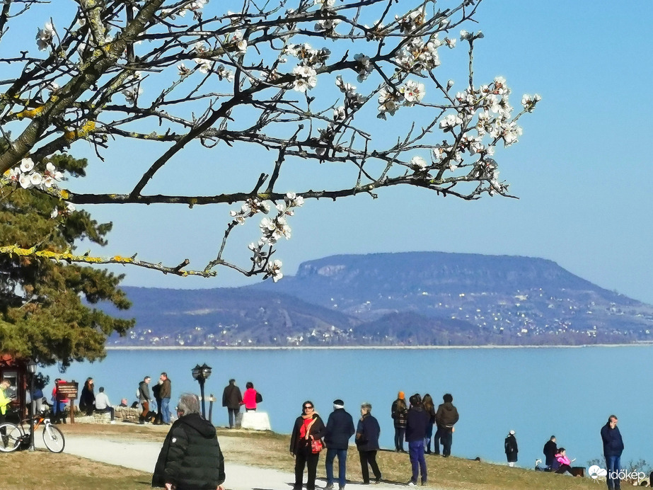 Tavasz Balatongyörökön 