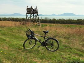 Balatonkeresztúri szőlőhegyen 