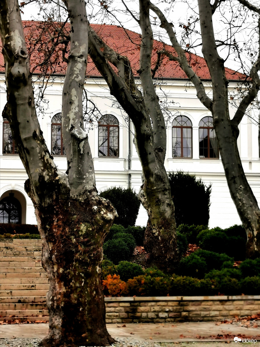 Sok Anna bált látott.