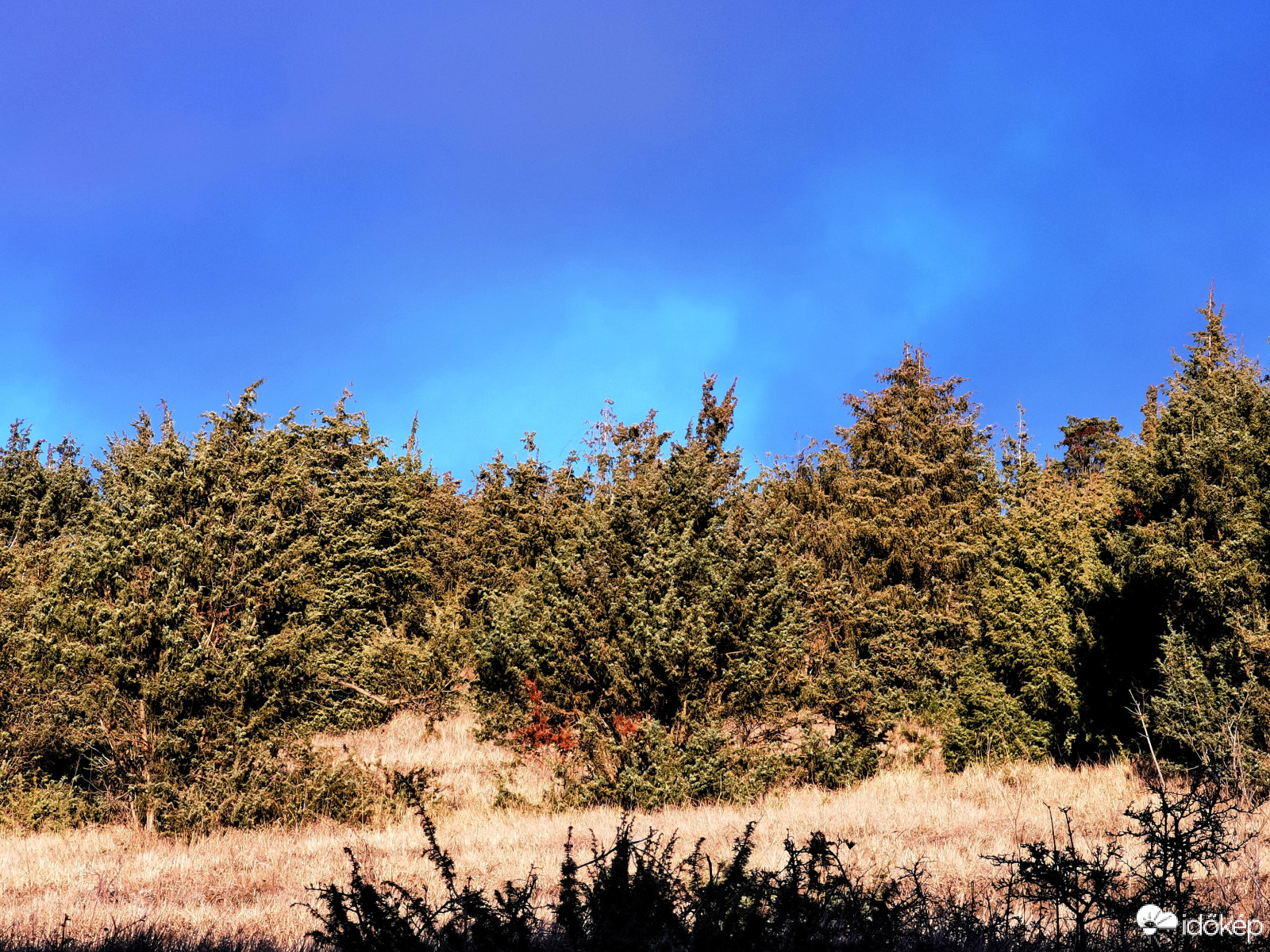 Vészjósló napsütés