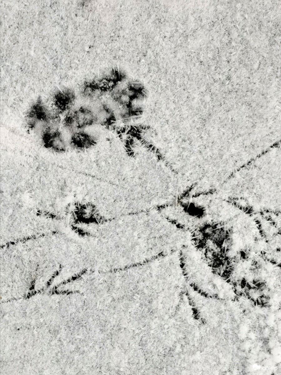 Ütköző lábnyomok