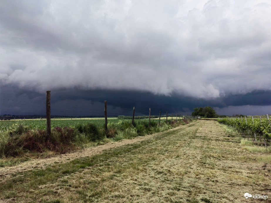 Észlelési fényképek