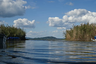 NyugtaTÓ
