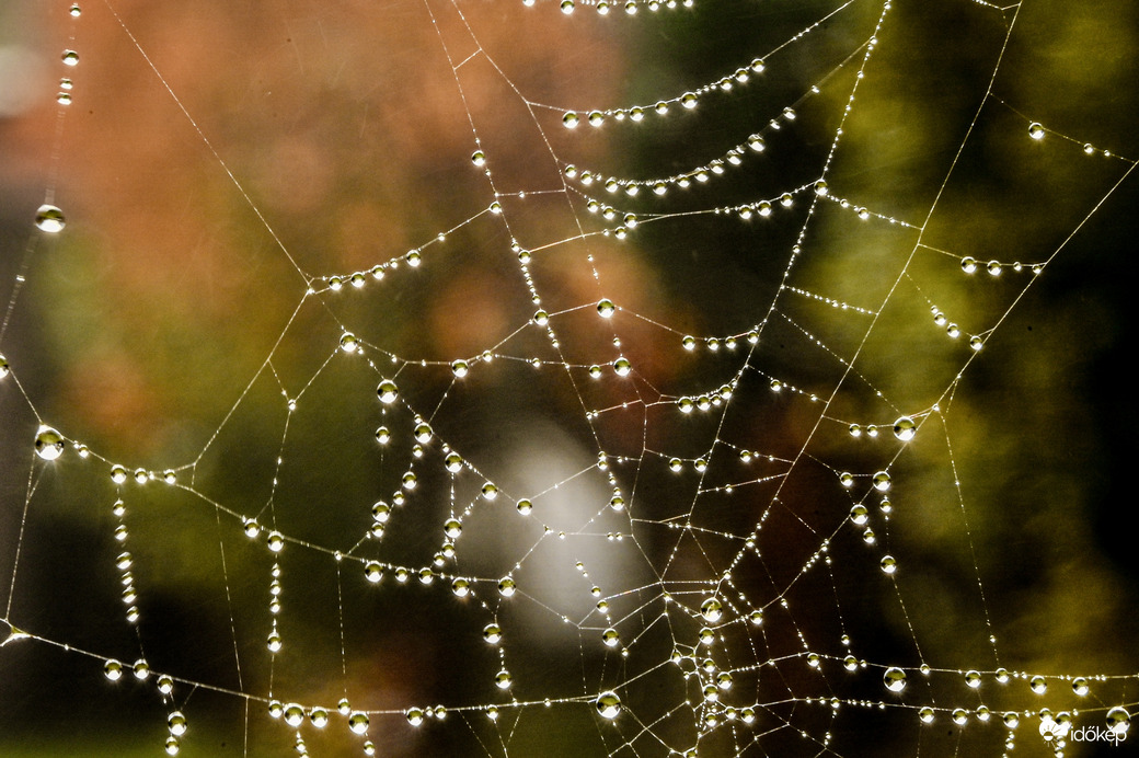 Természetes gyöngysor 