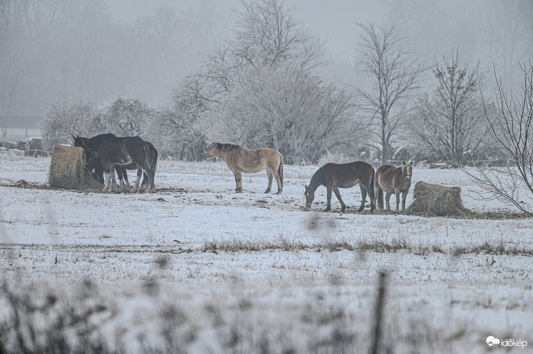 Ködös zúzmarás vidéki romantika 