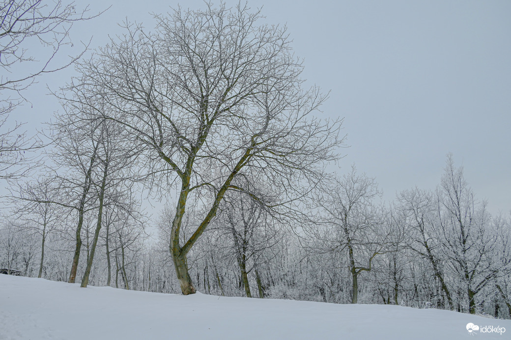Szűrt fények, selymesen lágy kontrasztok . 