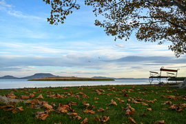 Őszi sanzon….. október utolsó előtti napja 