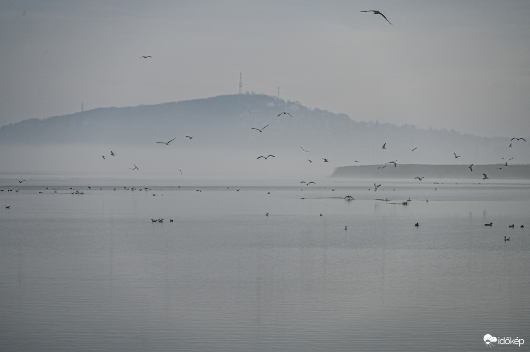 Ködös szárnyalás 