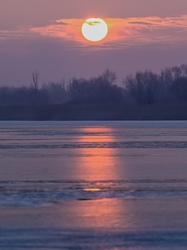 Minden szürke és fagyott kézzel gyors obi csere , mert itt van ő a Nap. 