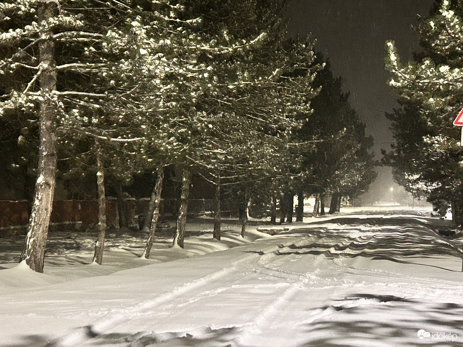 Észlelési fényképek