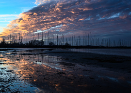 Esti fényfestés álomszerű csodája 