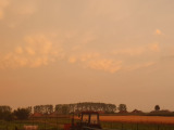 Mezőzombor