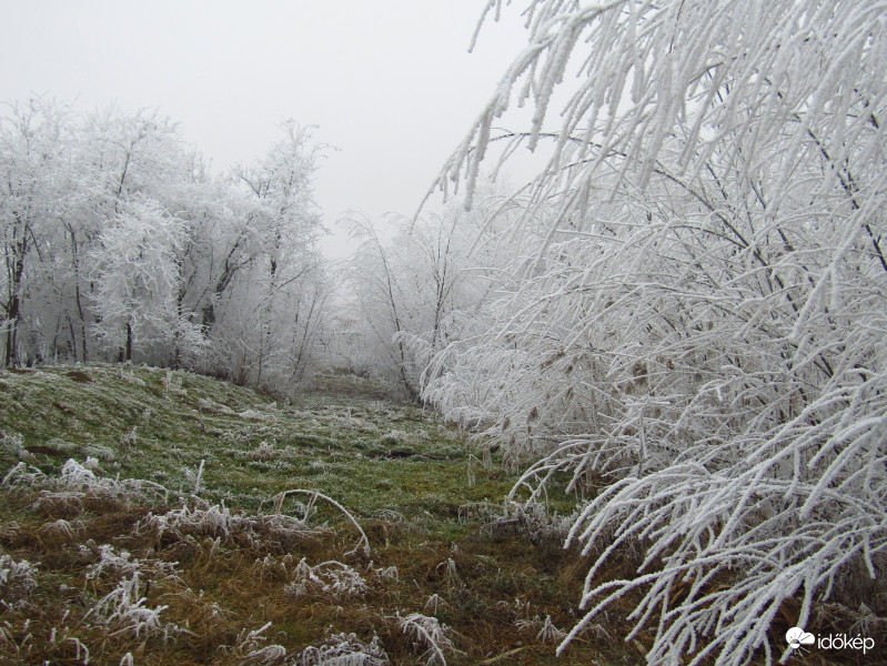 Sarkad