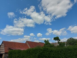 Waldzell