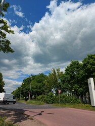 Wombach