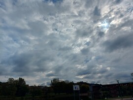 Lohr am Main