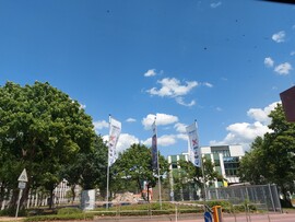 Wombach