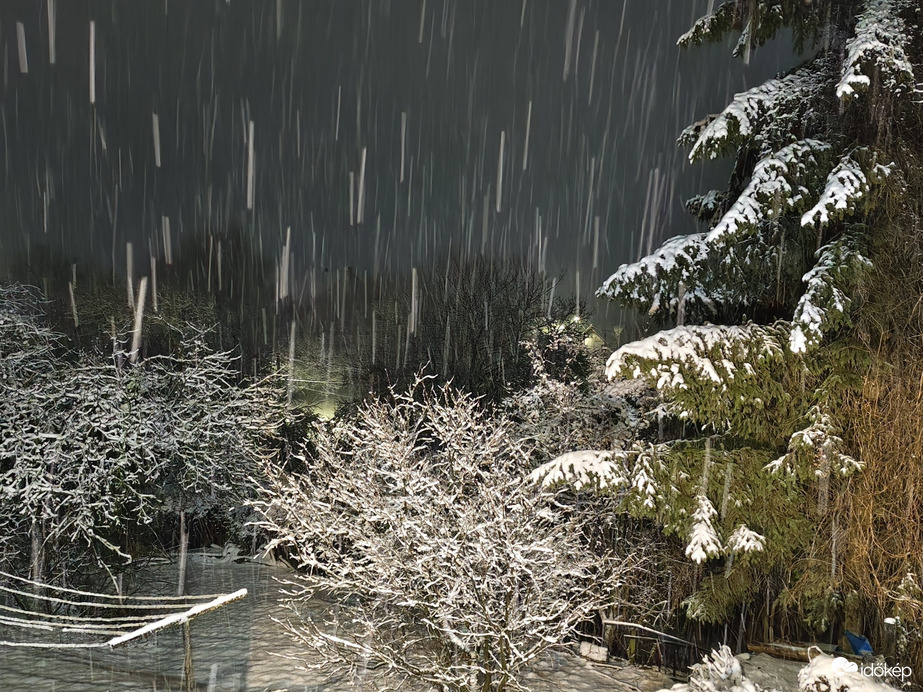 Észlelési fényképek