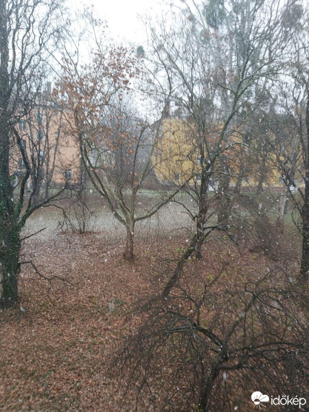 Komló