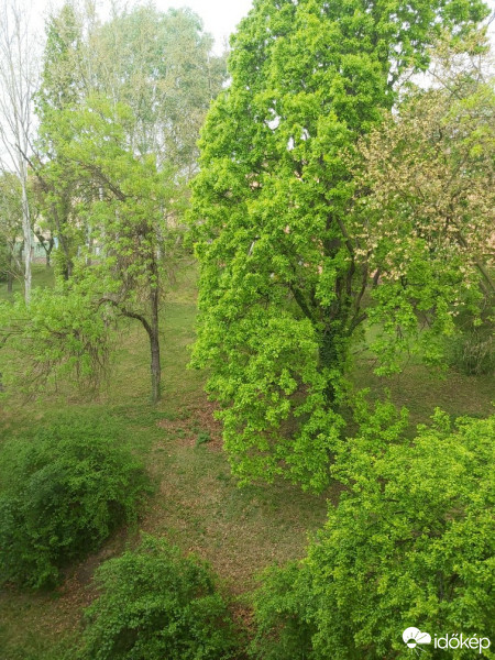 Komló