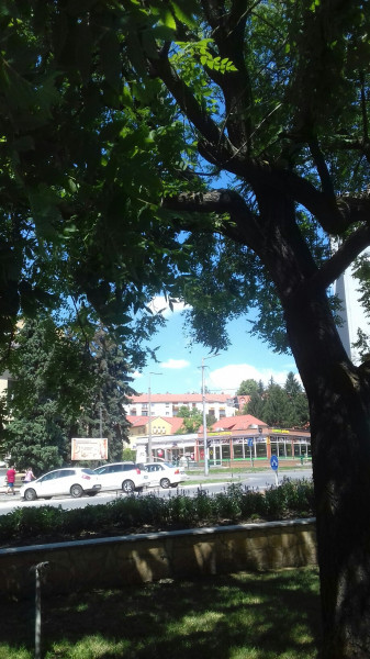 Komló