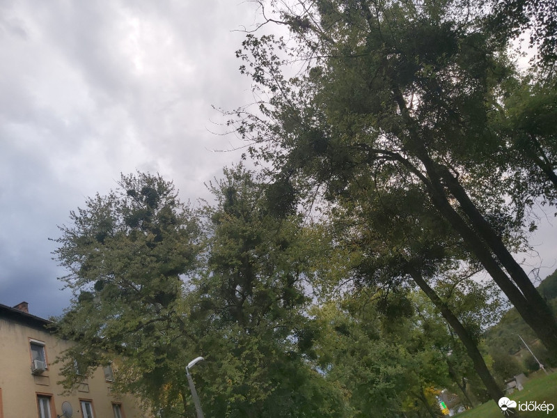 Komló