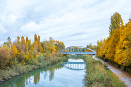 Reggeli Keleti Főcsatorna 