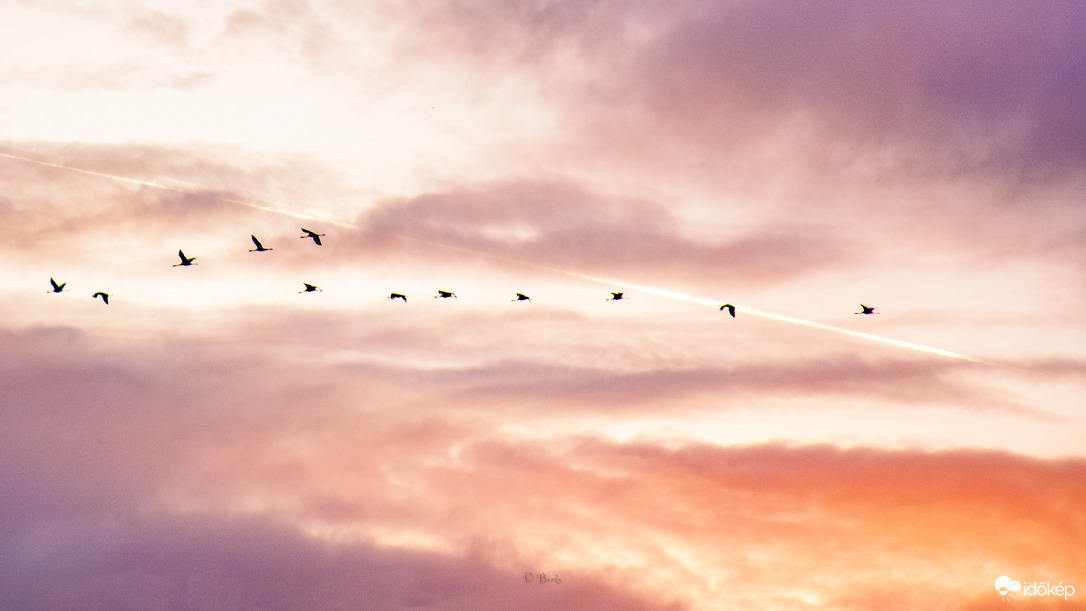 Daruvonulás áthúzó repülővel 